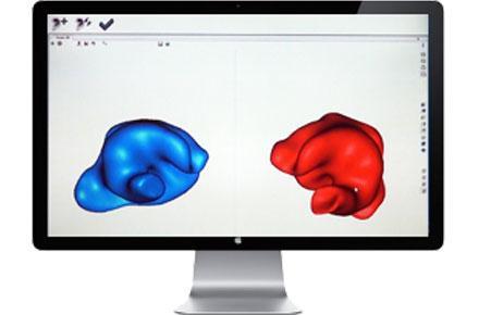 Voorbeeld van afdrukken gescand in 3D; blauw voor het linker oor en rood voor het rechter oor. 3D-scan van de oorafdrukken